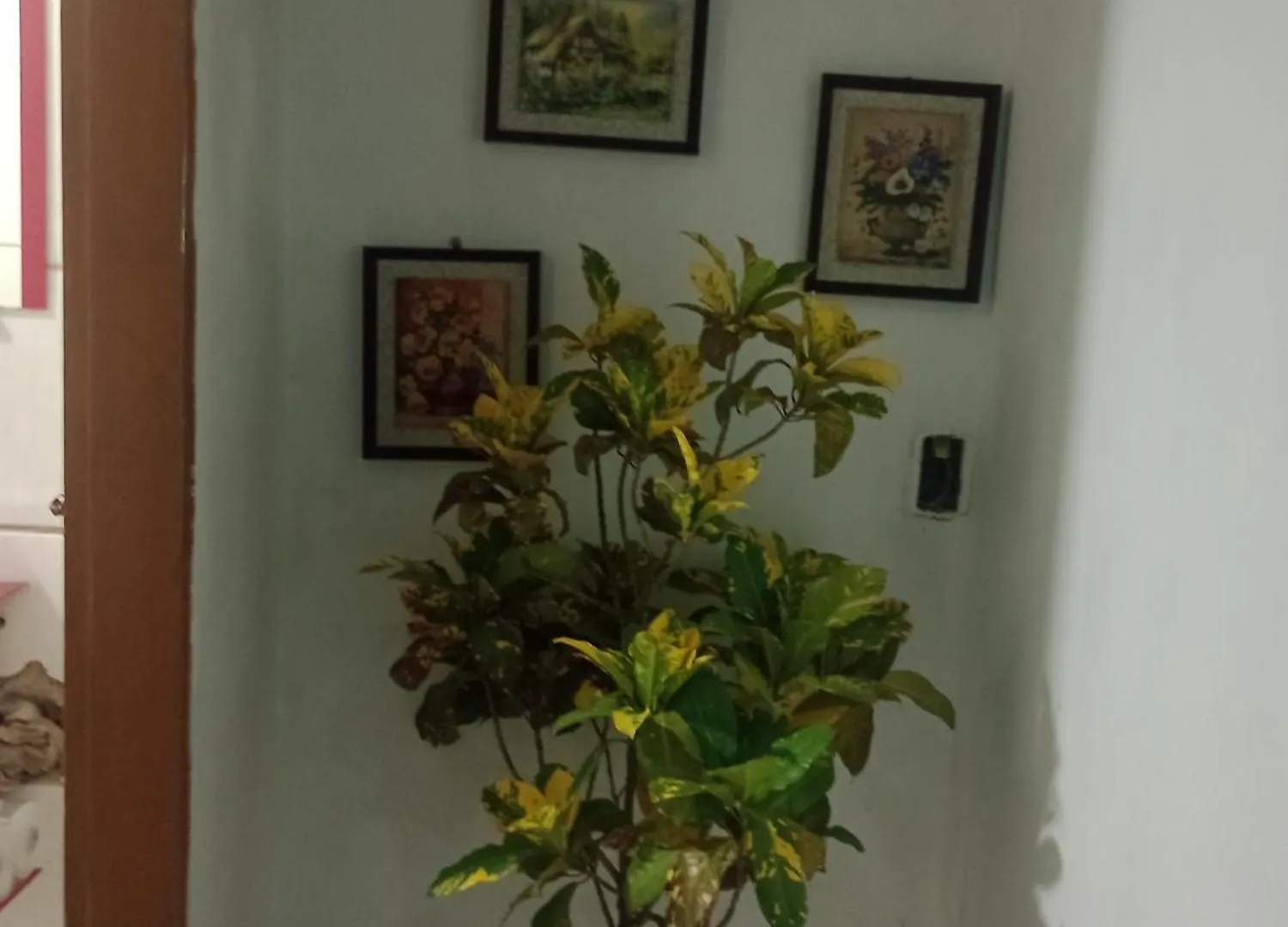 Vakantiehuis Aconchego De Mae Villa Porto Seguro Brazilië